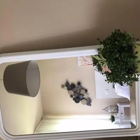 Bed & Breakfast La Gioiosa Pisa